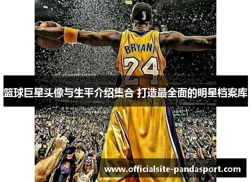 篮球巨星头像与生平介绍集合 打造最全面的明星档案库