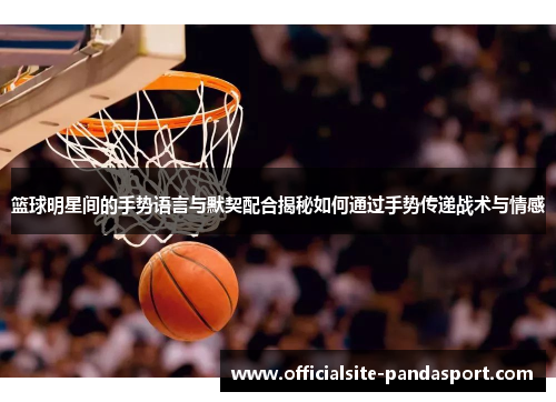 篮球明星间的手势语言与默契配合揭秘如何通过手势传递战术与情感