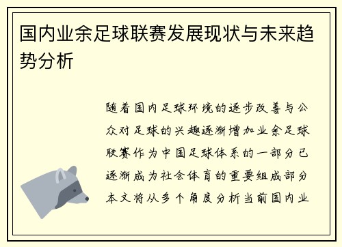 国内业余足球联赛发展现状与未来趋势分析